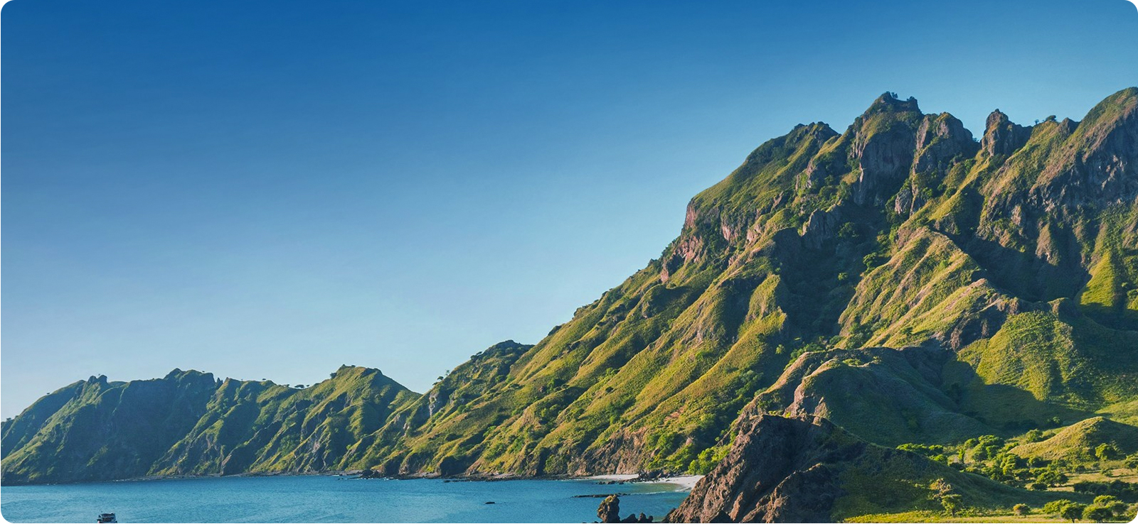 我们的绿色承诺及行动